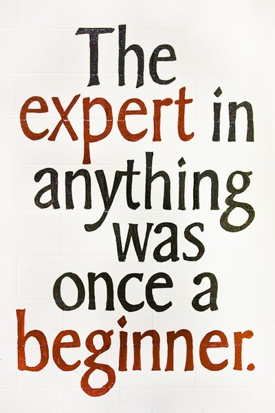 The Expert In Anything Was Once A Beginner