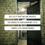 Grace~ a ready&nbsp;favor