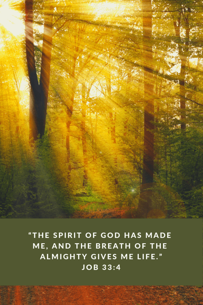 690EBA0C-4DD0-406D-A2A5-42D5114B86E6